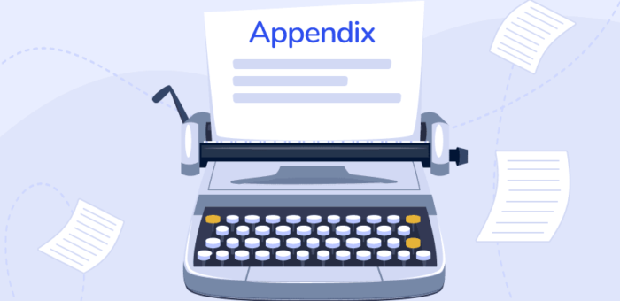 Appendix in Assignment
